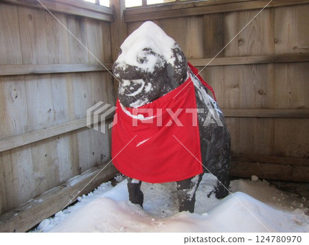 Kameido Tenjin Dog 124780970