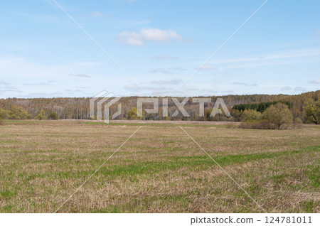 Country landscape with mown meadow Country landscape with mown meadow 124781011