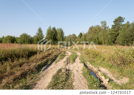 Dirt road to the forest Dirt road to the forest 124781017