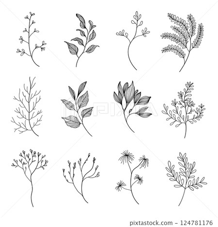 A collection of hand-drawn botanical elements with intricate floral details. Suitable for digital art, fabric prints, greeting cards, and branding. 124781176