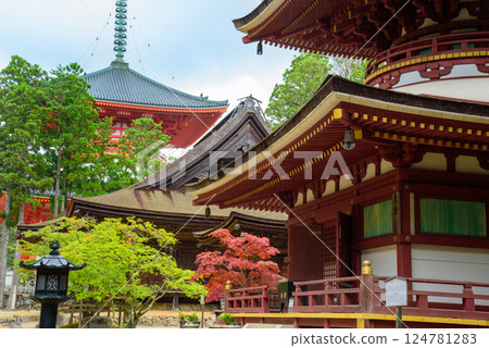 高野山:壇上伽藍:東塔、本堂、大塔 高野山:壇上伽藍:東塔、本堂、大塔 124781283