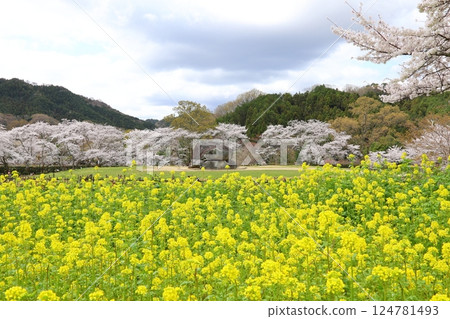 [Ishibutai Tomb / Asuka Village, Nara Prefecture] 124781493
