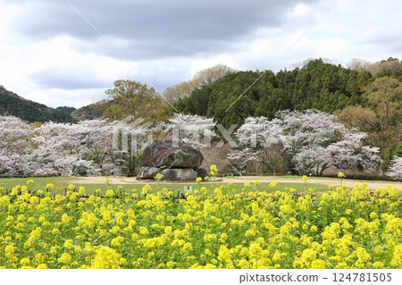 [石舞台古墓 / 奈良郡明日香村] 124781505