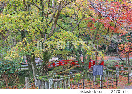 Autumn leaves of Da Ningong Autumn leaves of Da Ningong 124781514