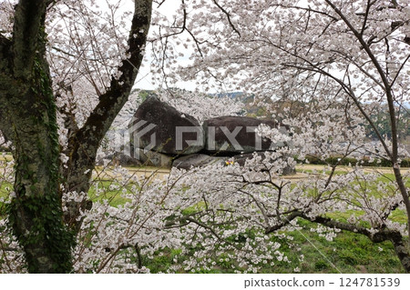 [石舞台古墓 / 奈良郡明日香村] 124781539