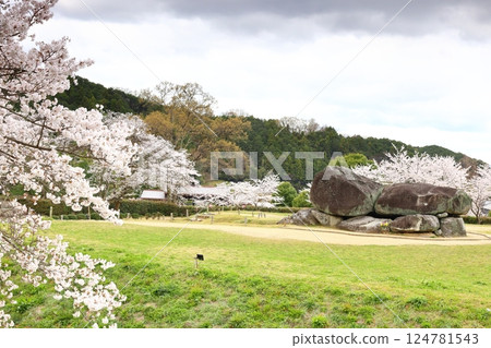 [石舞台古墓 / 奈良郡明日香村] 124781543