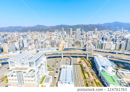 從兵庫縣神戶市神戶港塔看到的風景 124781763