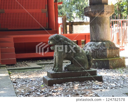 Senba Toshogu Shrine guardian lion Senba Toshogu Shrine guardian lion 124782578