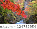 River and autumn leaves 124782954