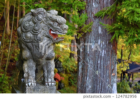 Guardian dog in the forest 124782956