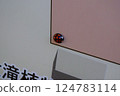 Ladybug stuck to a sign 124783114