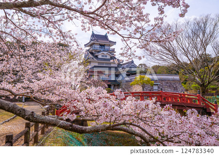 Oyama Castle, Cherry Blossoms, Yoshida Town, Shizuoka Prefecture Oyama Castle, Cherry Blossoms, Yoshida Town, Shizuoka Prefecture 124783340
