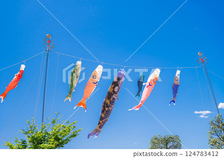 藍天和鯉魚飄帶 124783412