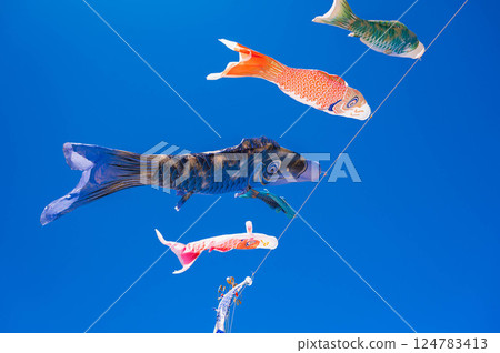 鯉魚旗在藍天上游動 124783413