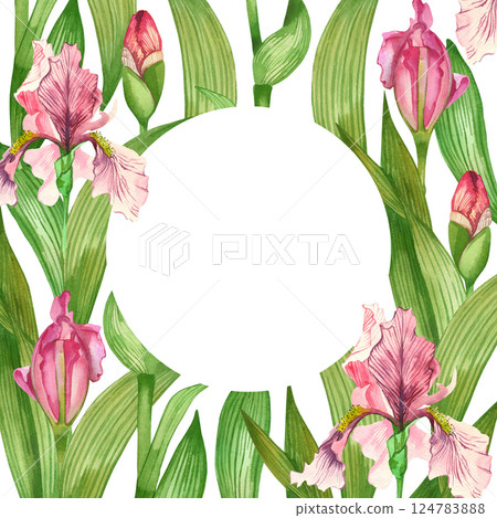 Round watercolor frame of pink iris flowers, blossoming flowers, pink buds, green leaves, all objects are hand painted with watercolor. For printing on postcards, invitations to weddings, celebrations 124783888