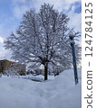 Snowy park 124784125
