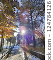 A Metasequoia-lined street dyed in autumn leaves 124784126