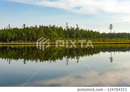Serene forest reflection in lake Serene forest reflection in lake 124784351