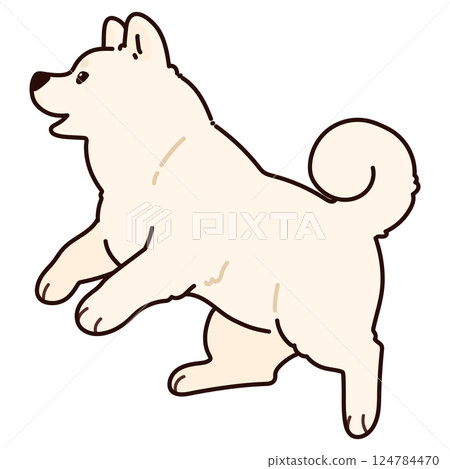 A simple and cute illustration of a jumping white Akita dog with main lines 124784470