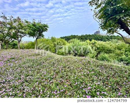 Zhongdu Wetland Park Zhongdu Wetland Park 124784799