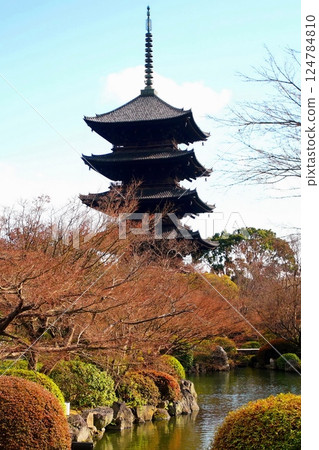 京都府東寺/五層塔(國寶)京都市南區九條町 2022 年 2 月 京都府東寺/五層塔(國寶)京都市南區九條町 2022 年 2 月 124784810