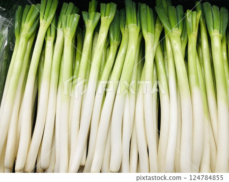 Displayed green onions, vegetables 124784855