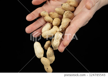 Hands pouring whole unpeeled peanuts, black background. Hands pouring whole unpeeled peanuts, black background. 124785543