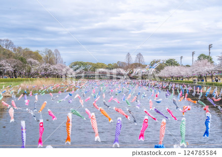 群馬縣館林市鶴田川沿岸的櫻花和鯉魚旗 群馬縣館林市鶴田川沿岸的櫻花和鯉魚旗 124785584