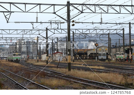 Hakodate Main Line Kiha 40 parked at Hakodate Depot Hakodate Main Line Kiha 40 parked at Hakodate Depot 124785768