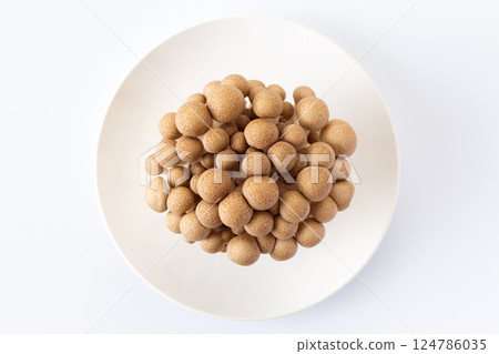 Bunashimeji 124786035