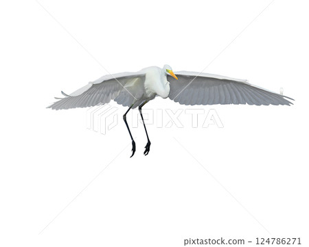 Dangerous landing 124786271