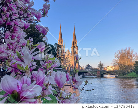Church of St. Paul in Strasbourg, France Church of St. Paul in Strasbourg, France 124786412