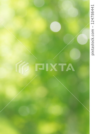 由綠色和光線構成的柔和的自然背景 由綠色和光線構成的柔和的自然背景 124786441