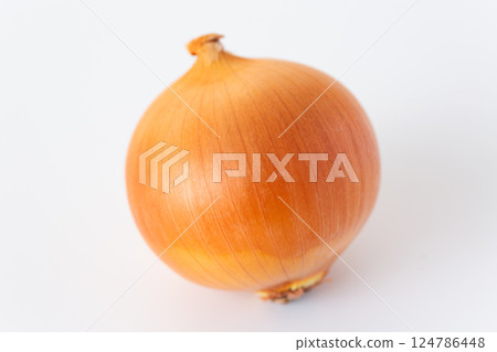 onion  124786448