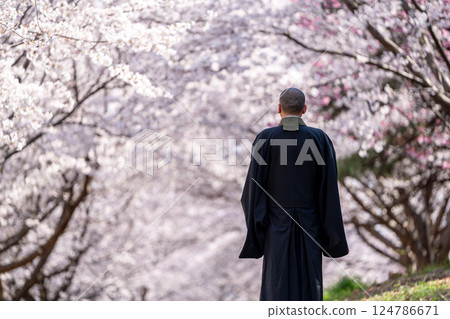 Image of a monk and a tree burial Image of a monk and a tree burial 124786671