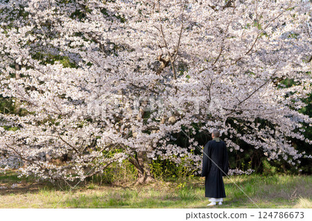 Image of a monk and a tree burial 124786673