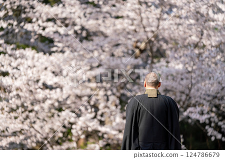 Image of a monk and a tree burial Image of a monk and a tree burial 124786679