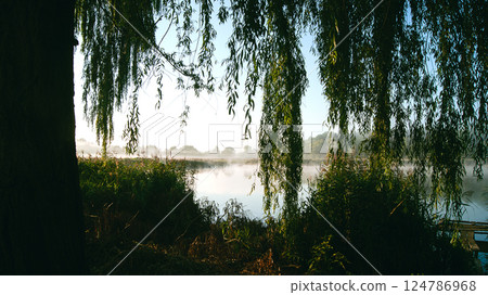 View of the lake from behind the willow branches, contrasting landscape View of the lake from behind the willow branches, contrasting landscape 124786968