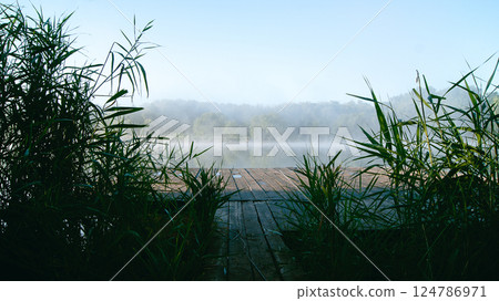 Wooden bridge leads to a lake with fog through reeds, summer morning 124786971