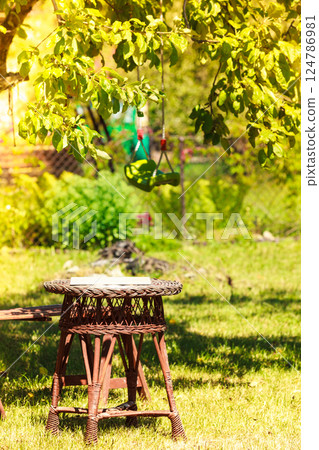 Plastic swing in garden 124786981