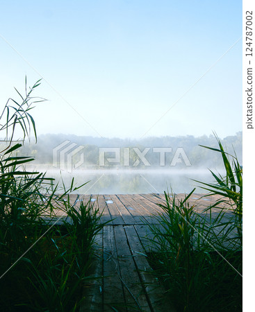 Wooden bridge leads to a lake with fog through reeds, summer morning Wooden bridge leads to a lake with fog through reeds, summer morning 124787002
