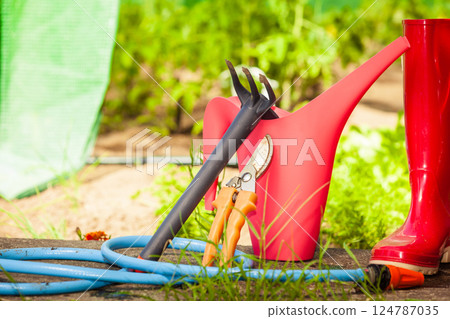 Gardening tools outdoor in garden 124787035