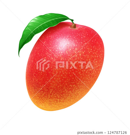 Mango illustration realistic white background 124787126