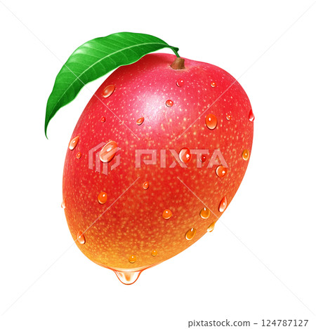 Mango illustration realistic white background 124787127