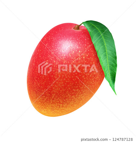 Mango illustration realistic white background 124787128