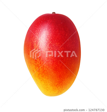 Mango illustration realistic white background 124787130