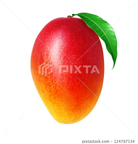 Mango illustration realistic white background 124787134