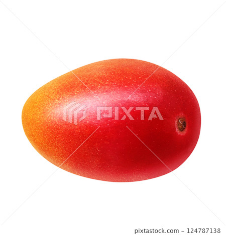 芒果插圖逼真的白色背景 芒果插圖逼真的白色背景 124787138