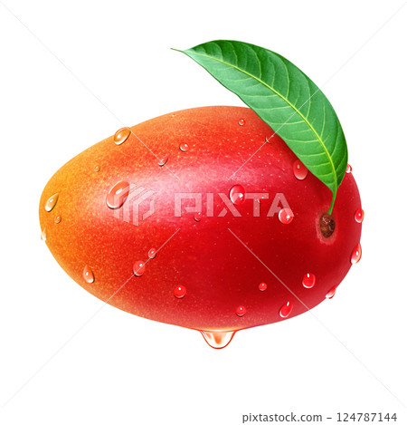 Mango illustration realistic white background 124787144