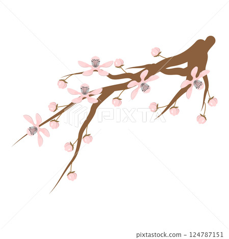 3D Isometric Flat Vector Set of Apricots and Elements, Farm Products. Item 4 3D Isometric Flat Vector Set of Apricots and Elements, Farm Products. Item 4 124787151